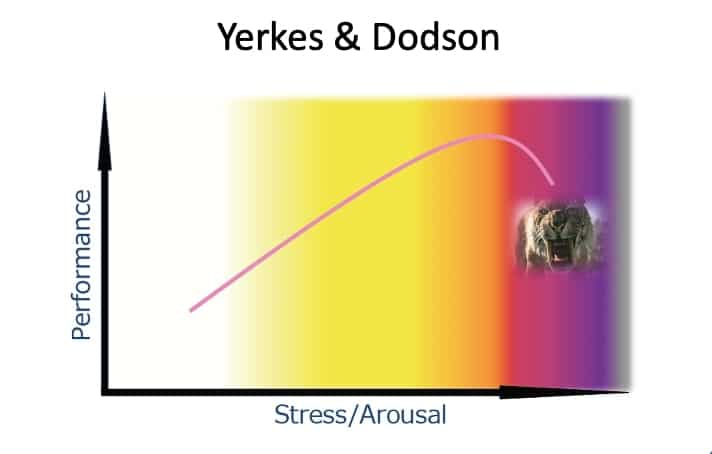 Yerkes-Dodson stress curve